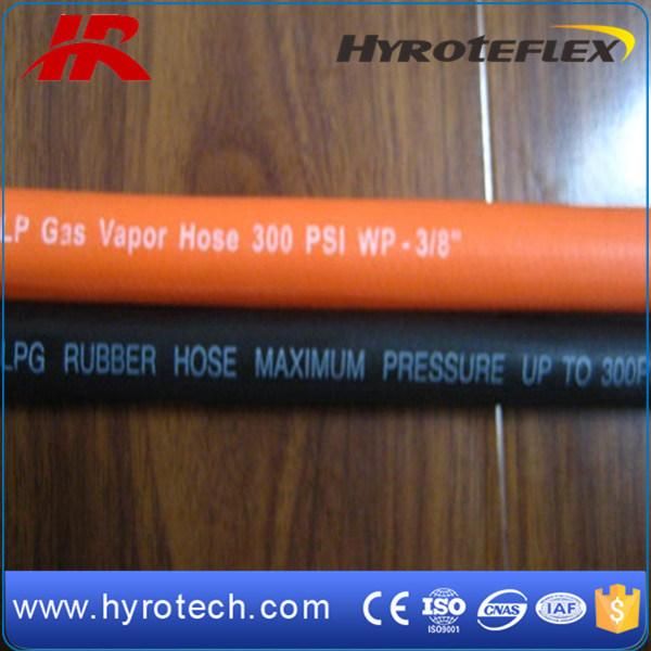 Hot Sale LPG Hose Manufacturer/Supplier