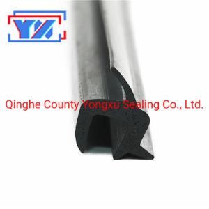 Auto Windscreen Windshield Rubber Seal Strips Gasket