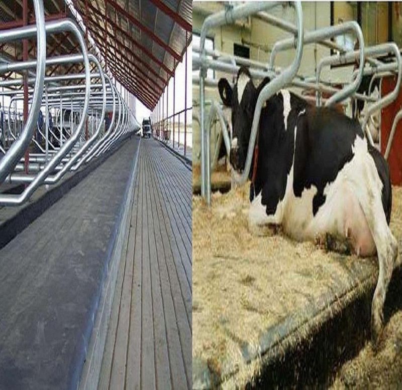 Factory Direct Sales Cow Mat Cow Sponge Mats