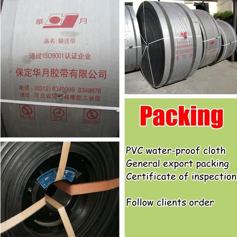 Quality Assured Manufacturer Direct Sale Coveyor Belt/Oil Resistant Conveyor Belt Ep St Nn