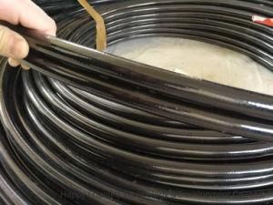 Double Twin Thermoplastic Hydraulic Rubber Hose Pipe Tube R7