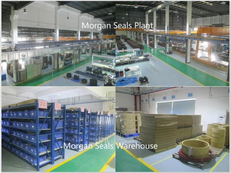 Khd Type Hydraulic Cylinder Piston Seals