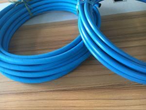 Blue Jetting Washer Hoses