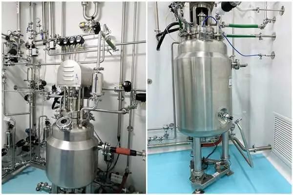 Dairy Application Washing Hose for Water and Air Industrial NBR Rubber Flexible Hose High Pressure