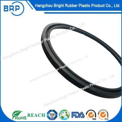 FKM, NBR, Teflon Silicone Rubber Oil Seal Rings for Auto/Valve/Pump