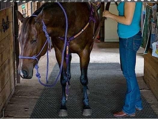 Horse Rubber Mat/Cow Rubber Mat/Cow Horse Matting Horse Rubber Mat