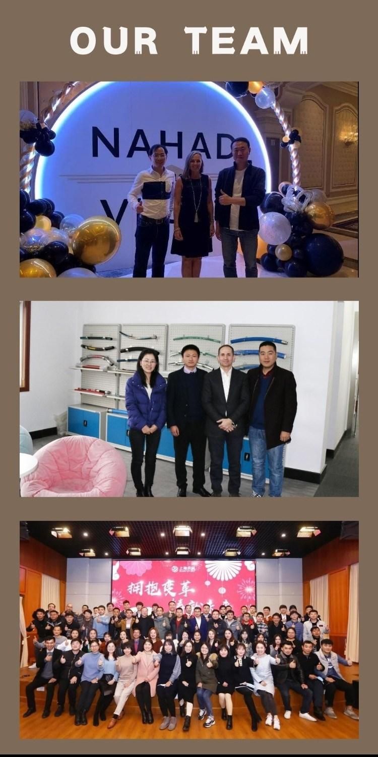 Cosmetic/Medicine/Food Industry Silicone Hose with High Pressure and High Temperature