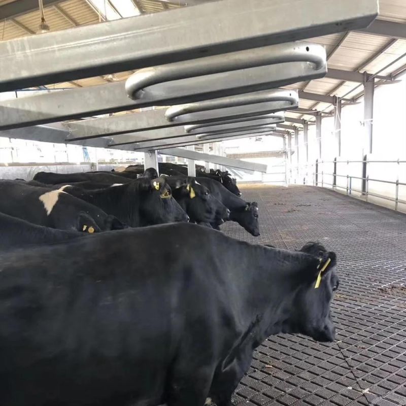 Factory Manufacture Animal/ Horse /Cow Stable Stalls Rubber Floor