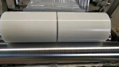 Silicone Seal with Preventing Earthquakes/Sealing/ Waterproofing/Insulation/Fire Retardant/High and Low Temperature