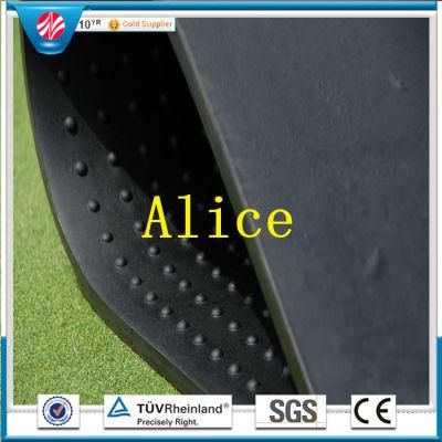 Horse Rubber Mat/Cow Rubber Mat