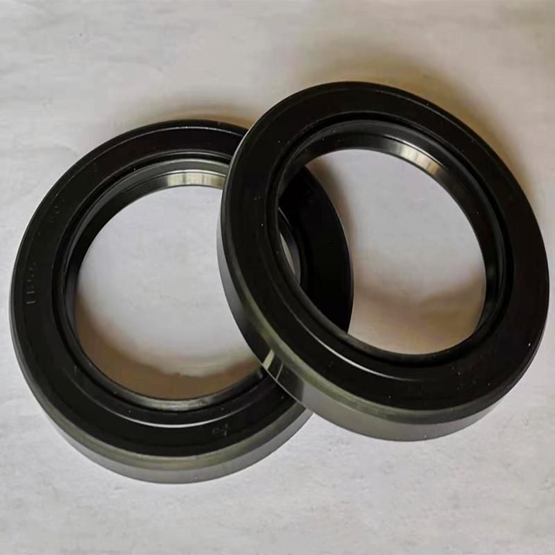 China Factory Produces Hydraulic Piston Rod Seal Rings