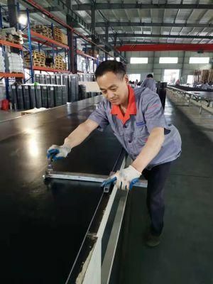 Industrial Chloroprene Rubber Sheet Rubber Material for Gasket