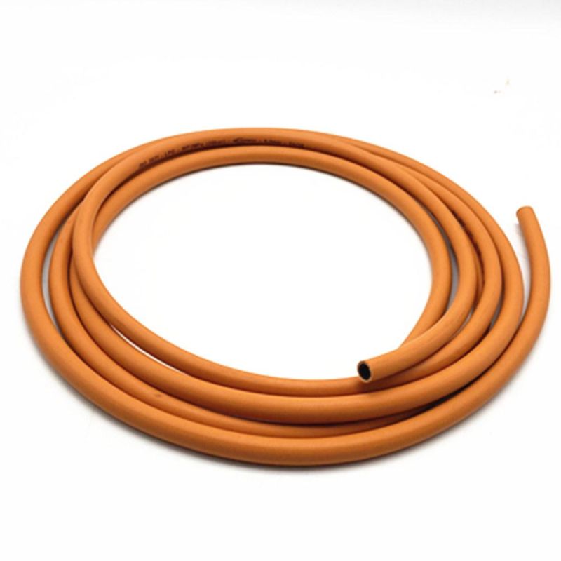 Flexible Gas Hose and Regulator for Gas Tank