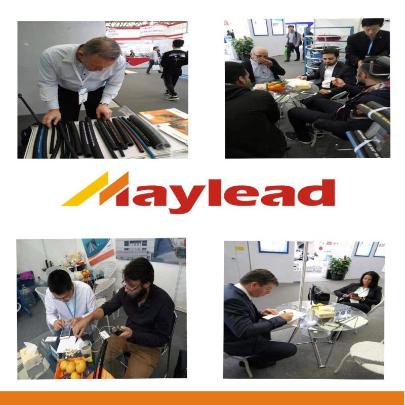 Single Layer Hydraulic Steel Wire Braided Hose