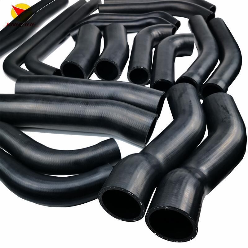 Automotive Fuel System Rubber FKM/Eco Manufacturers Fuel Hose with Different Size
