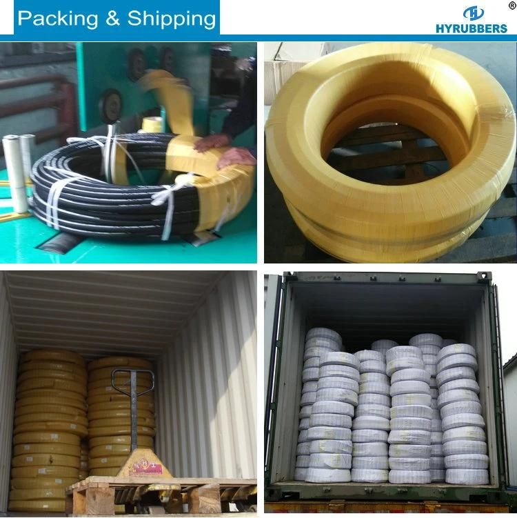 Steel Wire Braided High Pressure R2at 2sn Rubber Hydraulic Hose