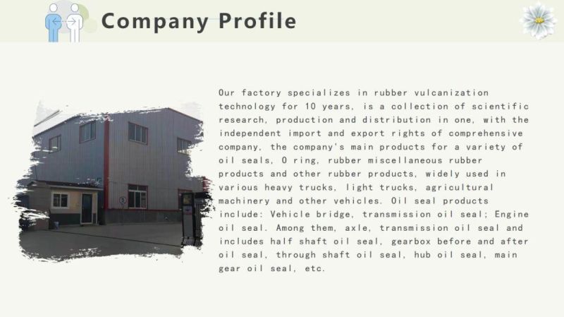 Pressure and Oil Resistance with Spring Monomer Skeleton Oil Seal/Mechanical Seal Ring