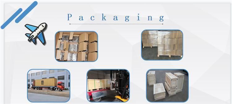 China Factory Produces Black NBR/HNBR/EPDM/Silicone Rubber Product Framework Oil Seal/Sealing Ring/Customize Rubber O Ring Automotive Oil Seal