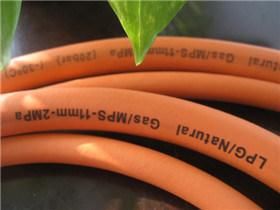 En559 LPG Hose Gas Hose for Household Gas Stove with ISO9001, RoHS, En ISO3821, FDA, Reach Multiple Certifications