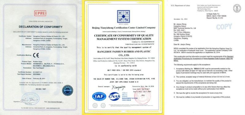 En/DIN and SAE Standard High Pressure Hydraulic Hose Line