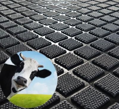 Agricultural Anti-Slip Cow Stable Flooring Mats for Cow/Horse/Pig