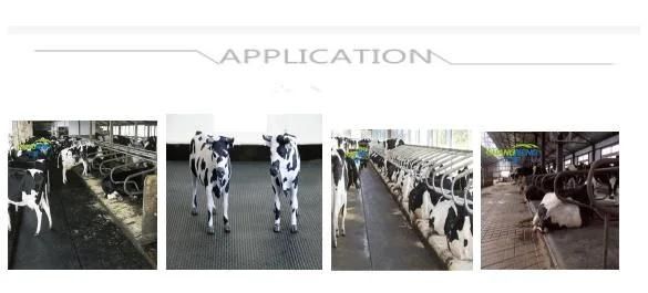 Grooved Little DOT Pattern Cow Stable Rubber Mat in 4 Ftx 6FT