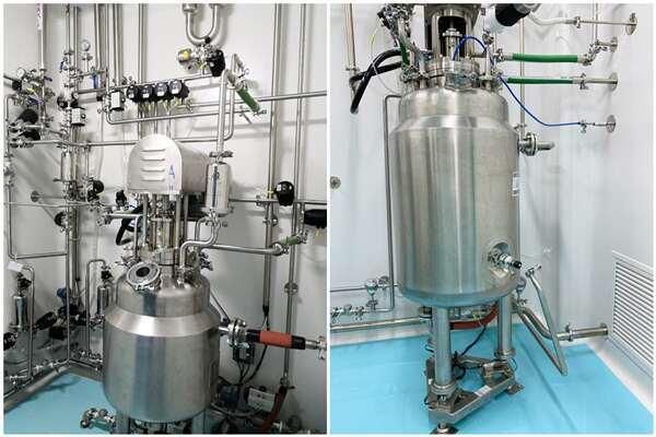 FDA Rubber Hose Hot Water Hose Dairy/Food Factory Application High Pressure Flexible Hose