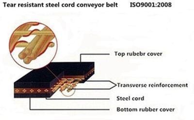 Anti-Tear Steel Cord Conveyor Belt