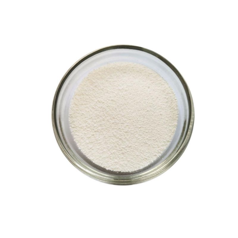 CAS 9006-03-5 Raw Material Sr20 Powder Chlorinated Natural Rubber