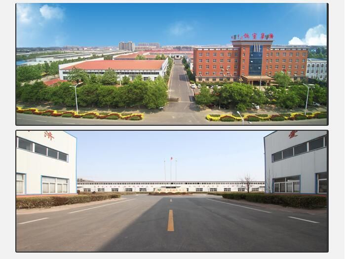 China Customized SAE, DIN, En Standard Flexible Hydraulic Rubber Hose