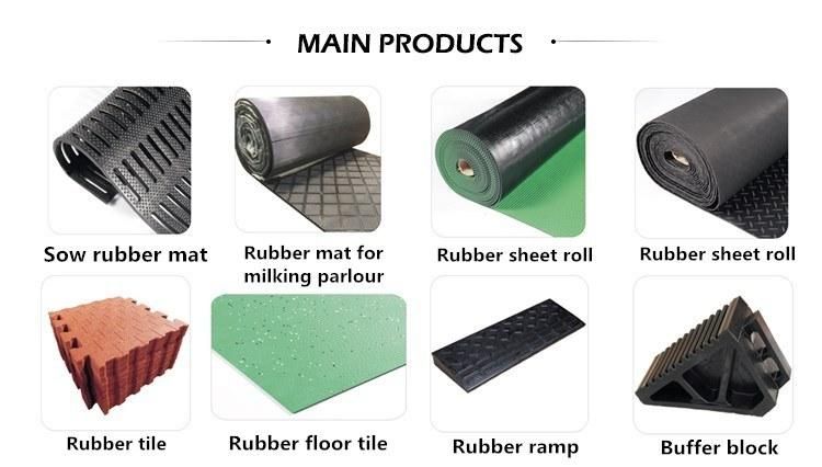 Gym Flooring Tiles Rubber Carpet Mat with EPDM Granules