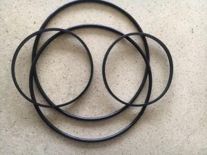 Nok OEM High-End Bonded Seal Washer NBR HNBR FKM EPDM PTFE O Ring O Shaped Ring Manufacturer 5.5*1.6mm Small Size