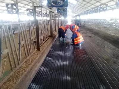 Horse Cow Stable Rubber Mat with Hot Selling/Hammer Cow Mat/Rubber Mat
