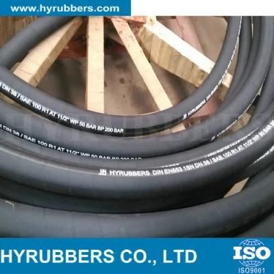 Factory Hyrubbers SAE 100 R1 Hydraulic Hose DIN En 853 1sn
