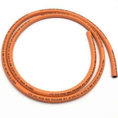 En16436 Standard High Pressure Gas Line Flex Hose