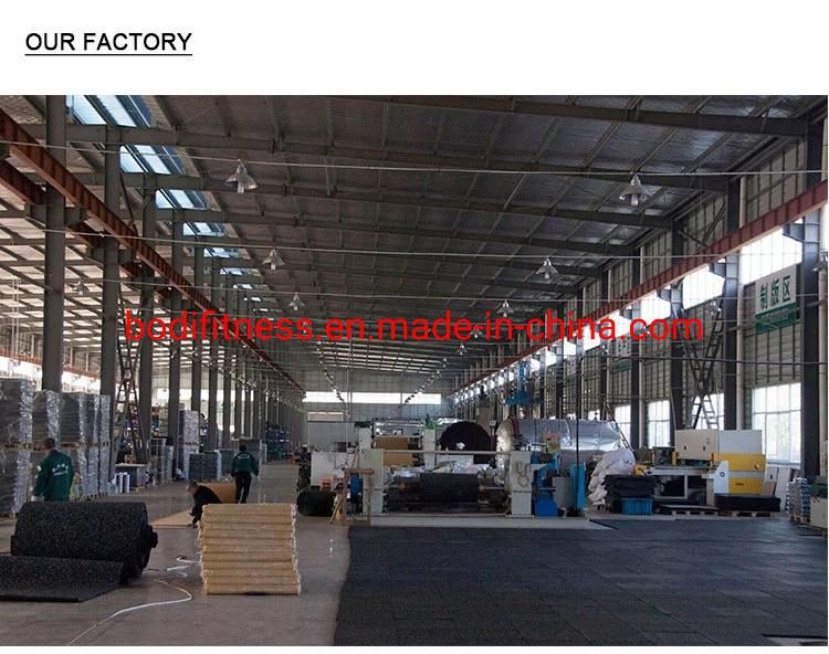 Professional EPDM Sparkled Gym Rubber Flooring