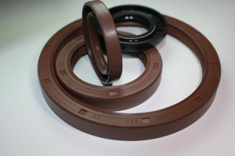 NBR FKM Oil Seals of Tc Type of High Quality