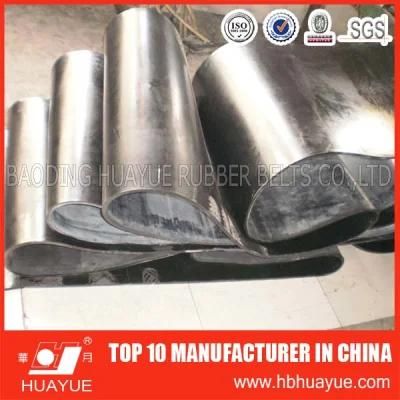 DIN Standard Nylon Core Conveyor Belt