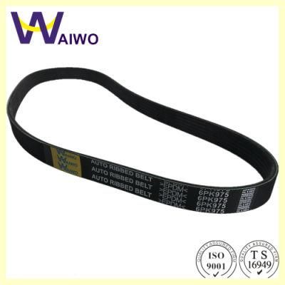 Good Quality Fan Belt 6pk975 for Ford Peugeot Citroen Cars Drive Belt Auto Spare Parts 6m5q6c301ea