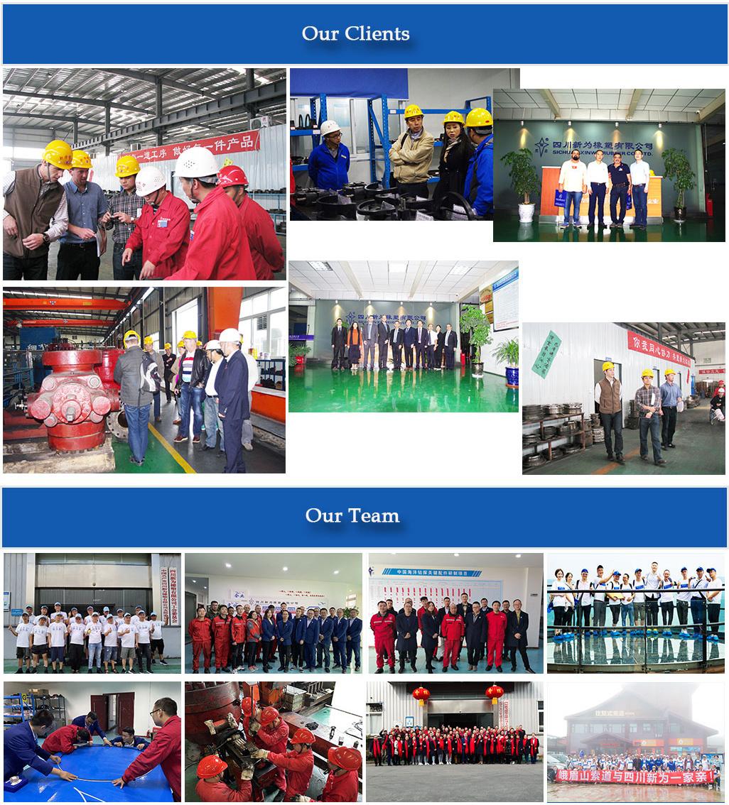 Rotating Bop Rubber Element Blowout Preventer Packer with Williams Shaffer Hydril Cameron