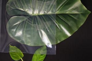 Custom High Temperature Resistant Transparent Silicone Rubber Sheet