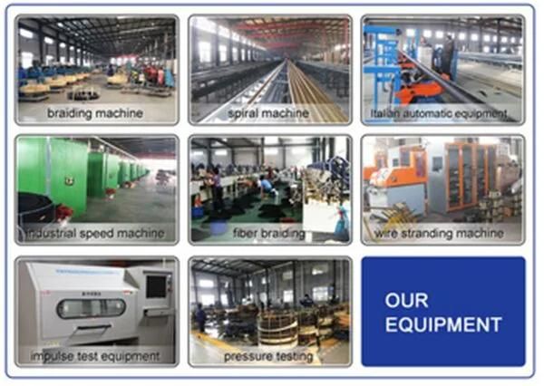 Hydraulic Hose DIN EN 856 4SP with Competitive Price