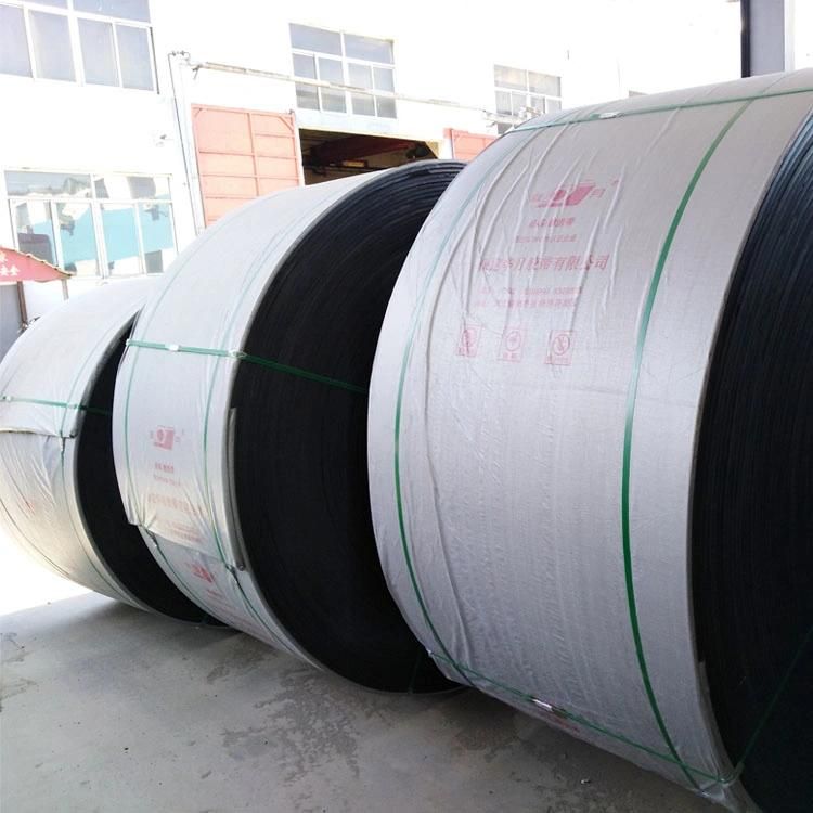 Anti-Static High Strength Nylon Conveyor Belt Nn100-Nn500