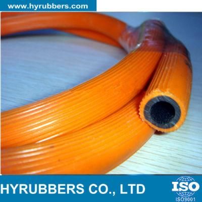 Flexible Gas Hose/LPG Hose/Welding Hose/Acetylene Hose
