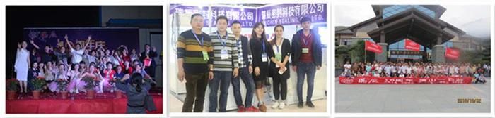 Custom Silicone Rubber Product Part