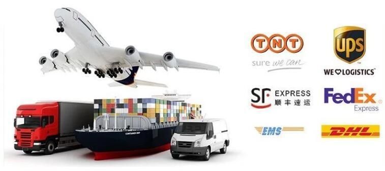 EPDM Automotive Rubber Weather Seal Strip