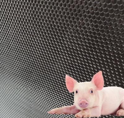 Factory Direct Sale Customize Size Farming Anti-Slip Rubber Pig Mats