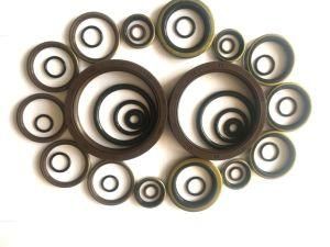 NBR Viton EPDM FKM Rubbersealing Ring Oil Seal for Hydraulic Customized