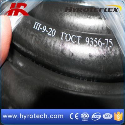 Oxygen Hose/Industrial Hose/Rubber Hose/Hot Sale
