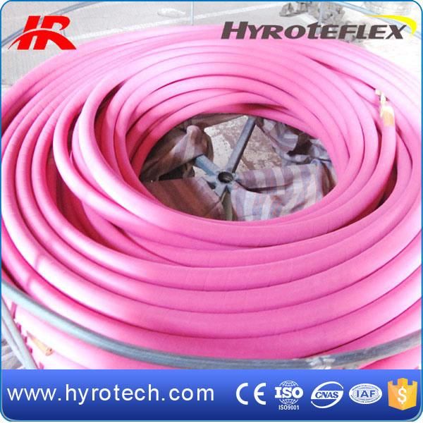 Steam Hose